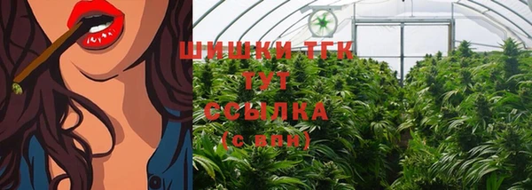 гидра Арсеньев